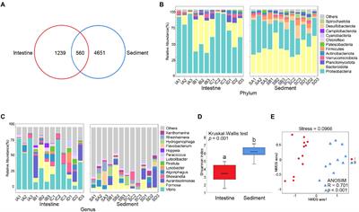 Phage-prokaryote coexistence strategy mediates microbial community diversity in the intestine and sediment microhabitats of shrimp culture pond ecosystem